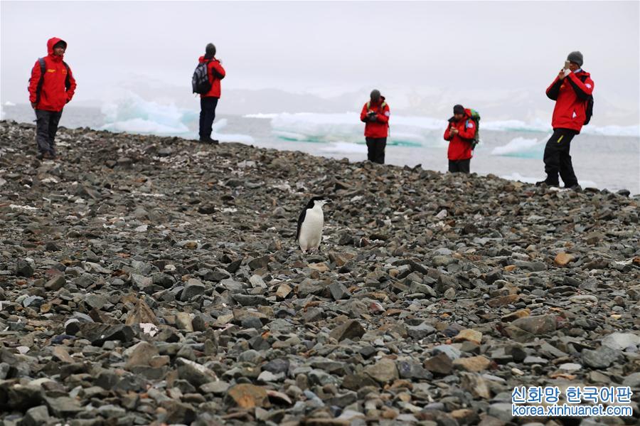 （第33次南极科考）（4）“海洋六号”南极科考队员完成首次登陆考察任务