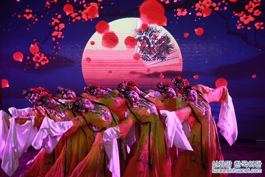 （国际）（1）2017年中朝友好迎春音乐会在平壤举行 