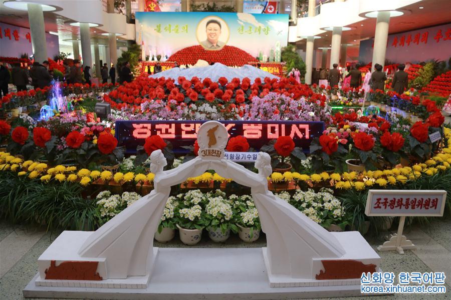 （国际）（3）朝鲜举办第21届“金正日花”花展
