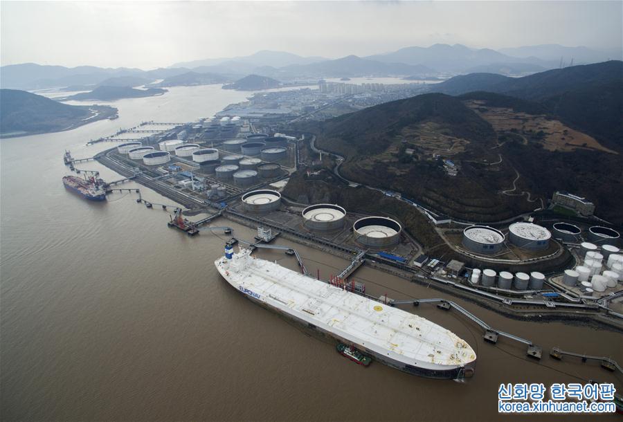 （社会）（1）全球最大船停泊宁波舟山港