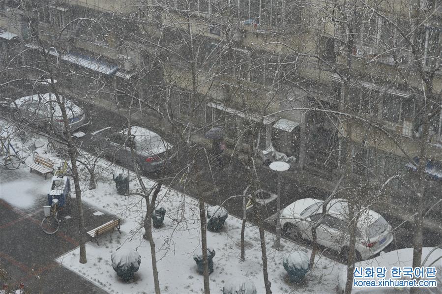 （环境）（1）北京迎来降雪天气