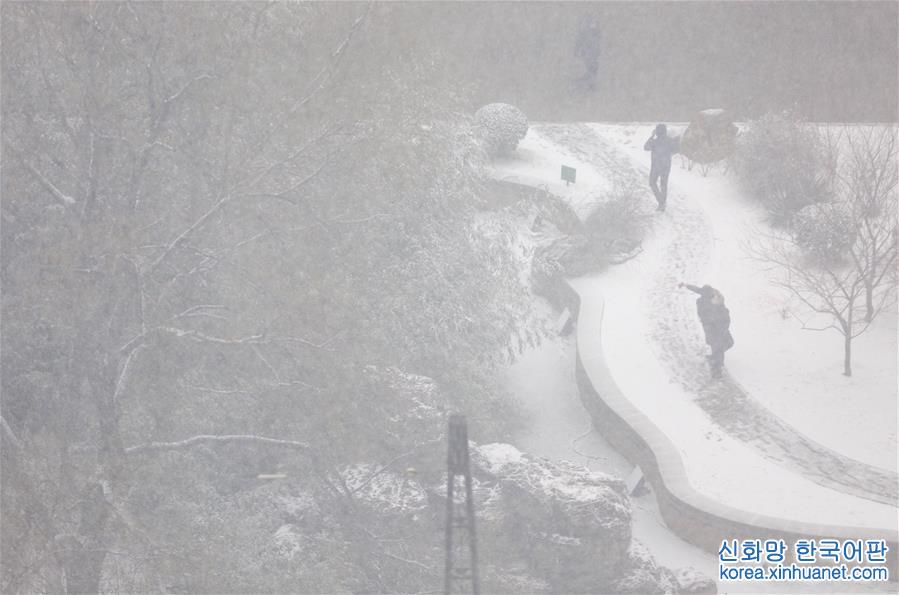 （环境）（4）北京迎来降雪天气