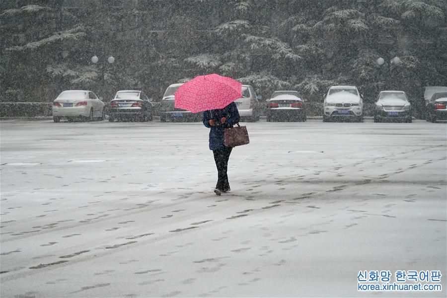 （环境）（7）北京迎来降雪天气