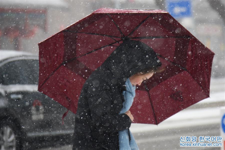 （环境）（11）北京迎来降雪天气