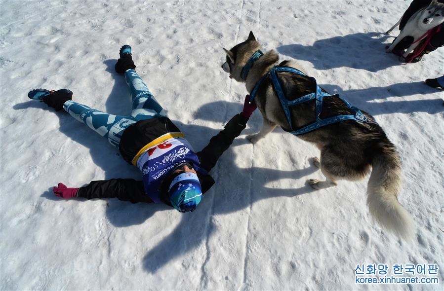 [12]（外代二线）俄罗斯滨海边疆区举行狗拉雪橇比赛