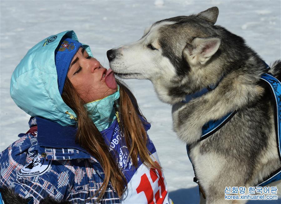 [9]（外代二線）俄羅斯濱海邊疆區舉行狗拉雪橇比賽