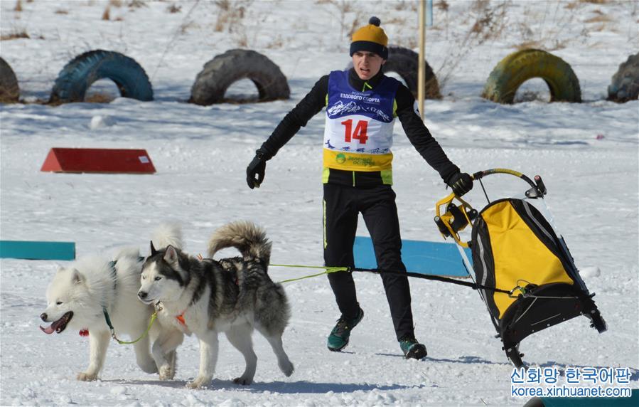 [7]（外代二线）俄罗斯滨海边疆区举行狗拉雪橇比赛