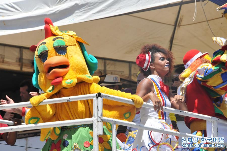 （国际·图文互动）（5）巴西累西腓狂欢节致敬中国鸡年