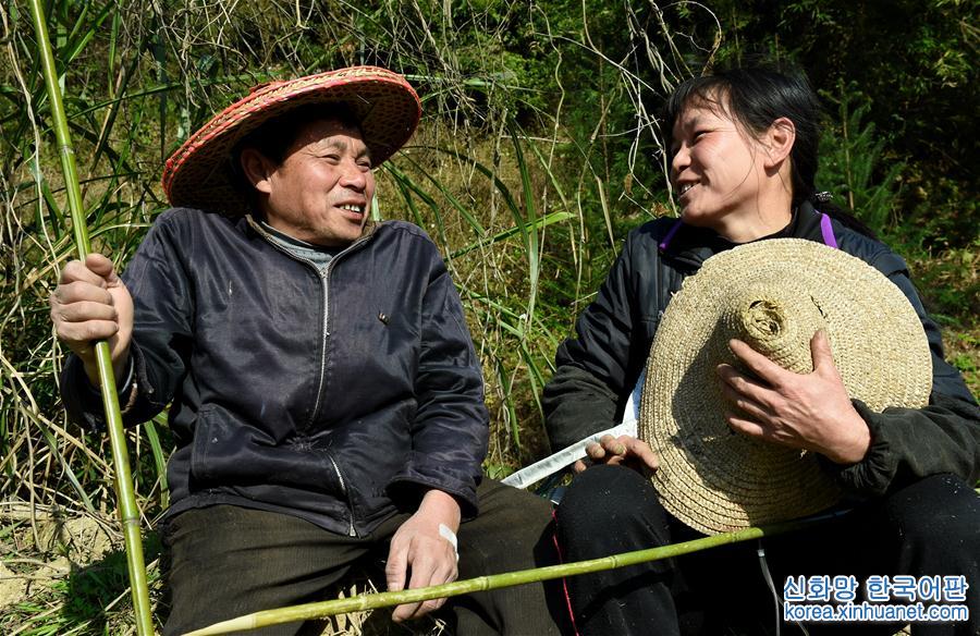 （脱贫攻坚·图片故事）（4）村民吕元鑫夫妇的养羊脱贫路