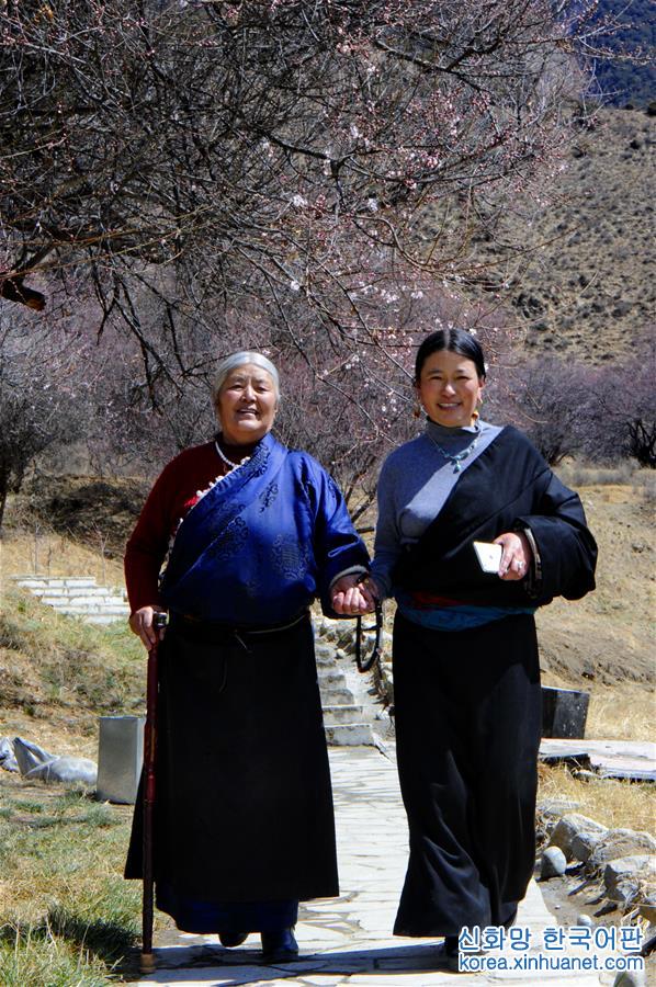 （环境）（3）西藏林芝：“桃花村”里春来早 