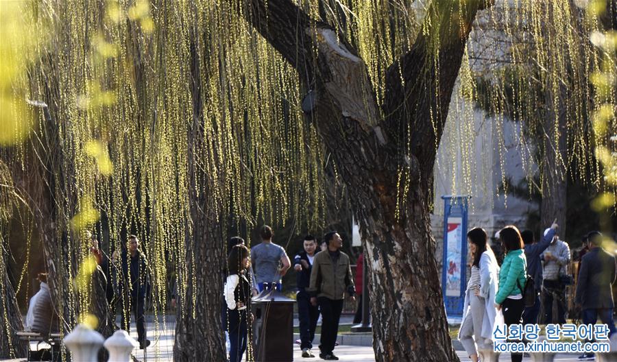 （社会）（3）北京：暖暖的春天