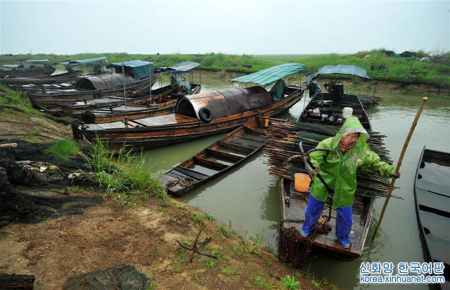 （环境）（2）中国最大淡水湖鄱阳湖即将进入禁渔期
