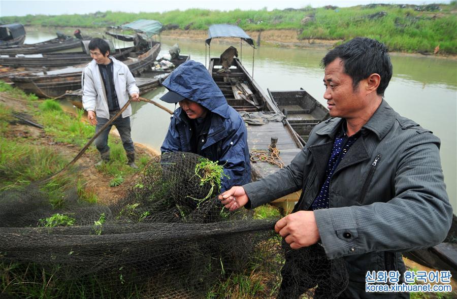 （环境）（6）中国最大淡水湖鄱阳湖即将进入禁渔期
