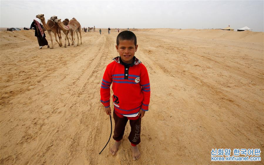 [4]（外代二线）埃及举办国际骆驼赛