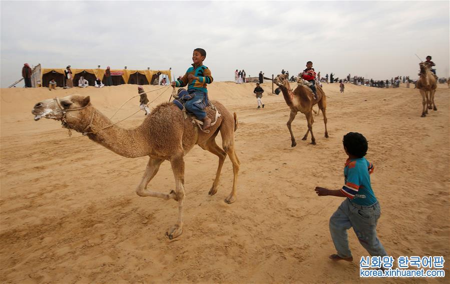 [12]（外代二线）埃及举办国际骆驼赛