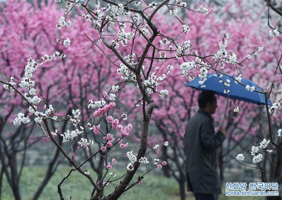 （环境）（1）北京：春雪或伴春雨至