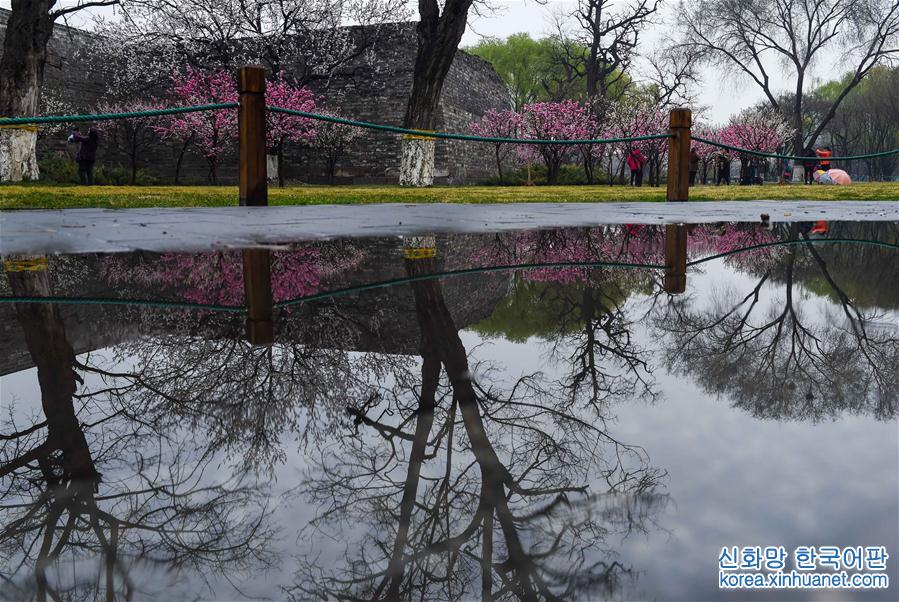 （环境）（3）北京：春雪或伴春雨至