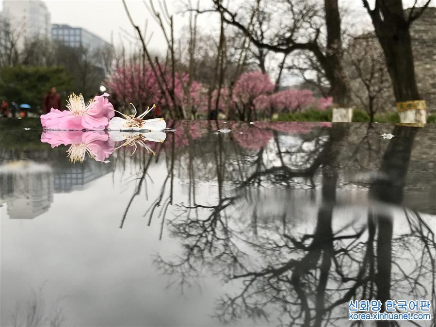 （环境）（7）北京：春雪或伴春雨至