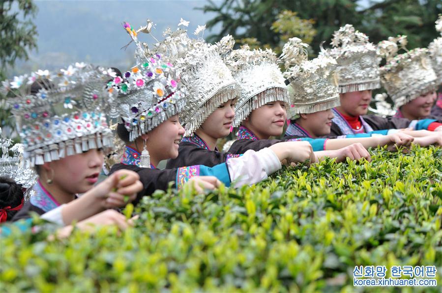 #（教育）（3）广西三江：茶乡开设“茶课堂”