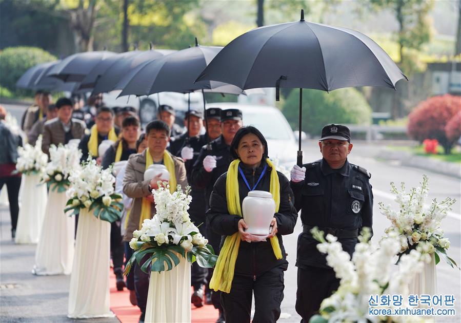 （社会）（2）南京举行生态葬集体安放暨公祭仪式