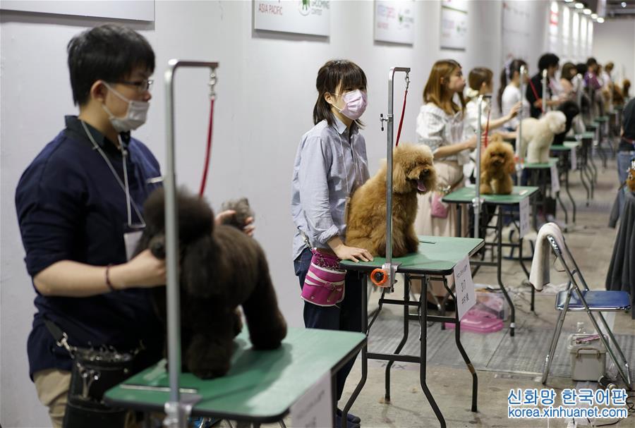 [3]（外代二线）东京举行国际宠物用品博览会