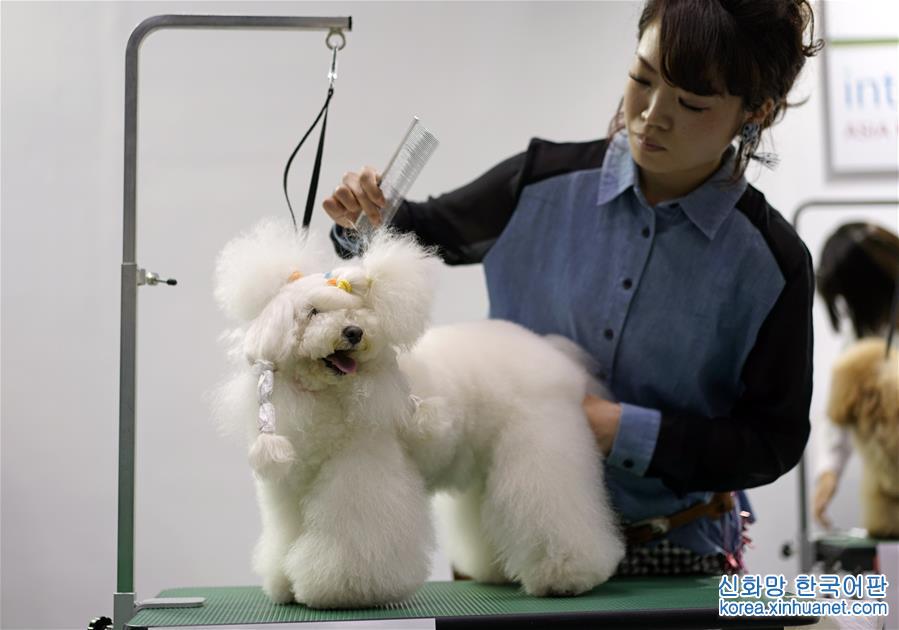 [4]（外代二线）东京举行国际宠物用品博览会