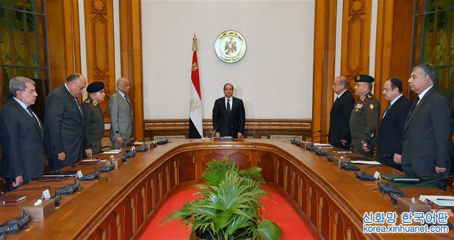 （国际）（2）埃及总统塞西宣布埃及进入紧急状态