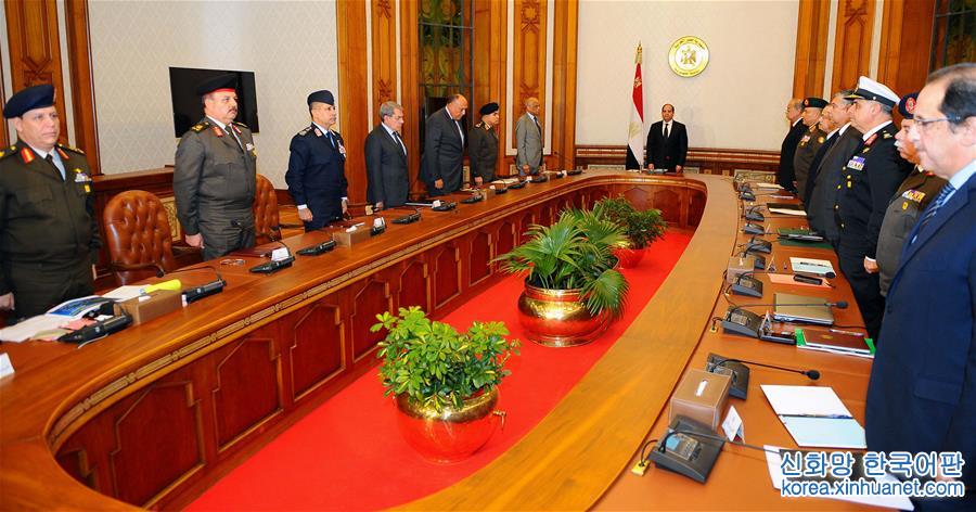 （国际）（3）埃及总统塞西宣布埃及进入紧急状态