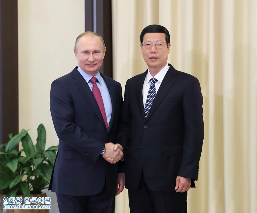 （时政）张高丽会见普京总统