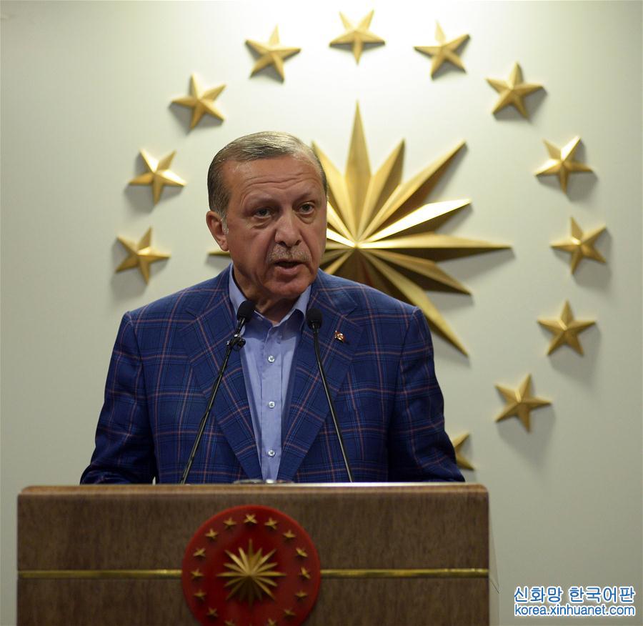 （国际）（2）土耳其总统宣布土耳其修宪草案在全民公投中获得通过