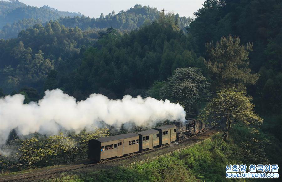 （美丽中国）（3）春天，小火车与桐子花有个约会