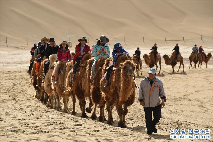 （一带一路·好风光）（3）敦煌鸣沙山上体验大漠驼队