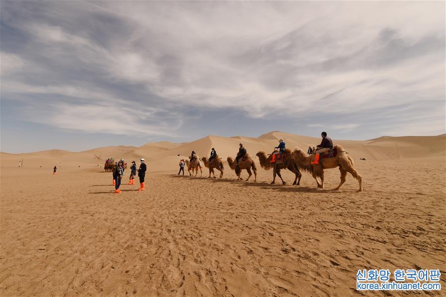 （一带一路·好风光）（5）敦煌鸣沙山上体验大漠驼队