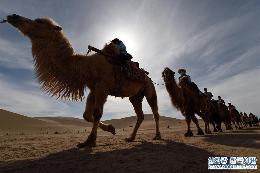（一帶一路·好風光）（7）敦煌鳴沙山上體驗大漠駝隊