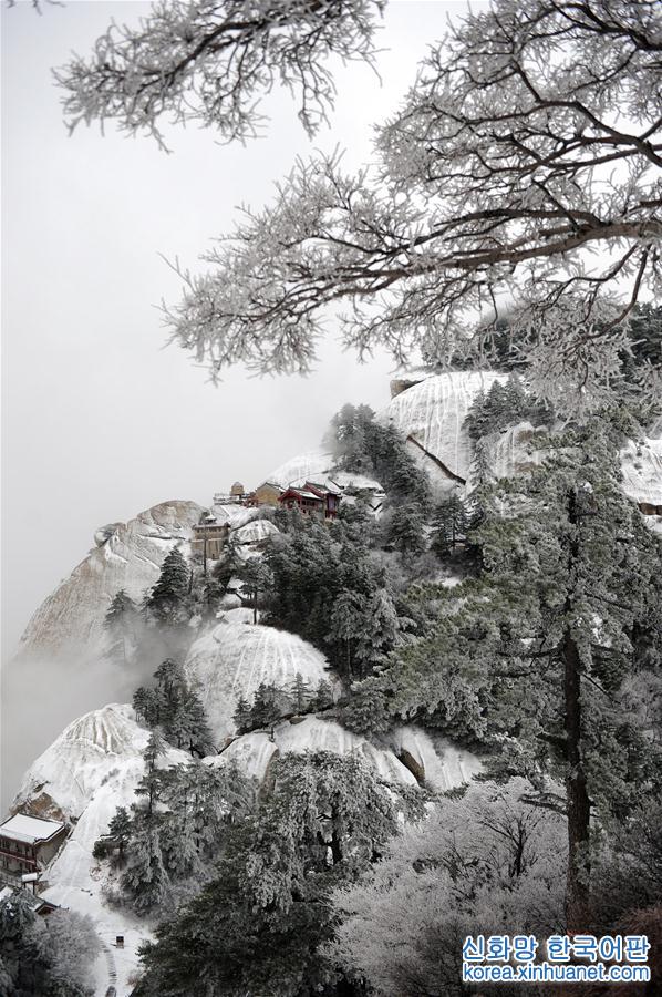 （一带一路·好风光）（10）西岳华山：奇险天下第一山