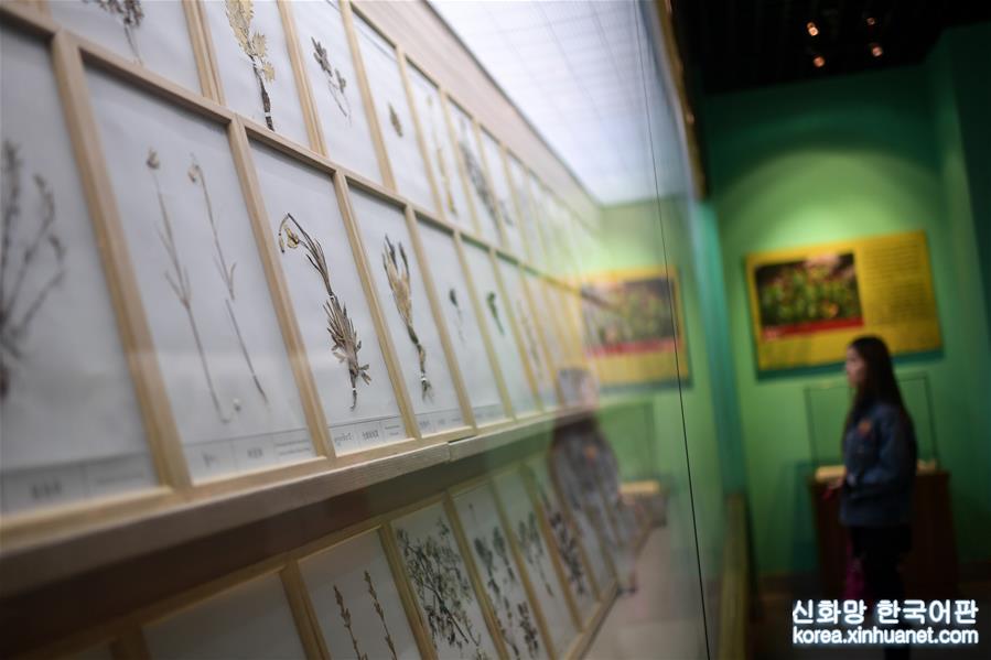 （文化）（1）探访中国藏医药文化博物馆