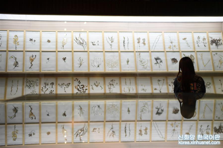 （文化）（2）探访中国藏医药文化博物馆