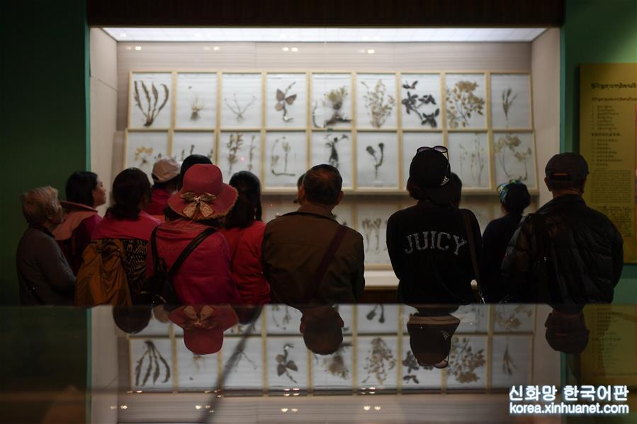 （文化）（3）探访中国藏医药文化博物馆