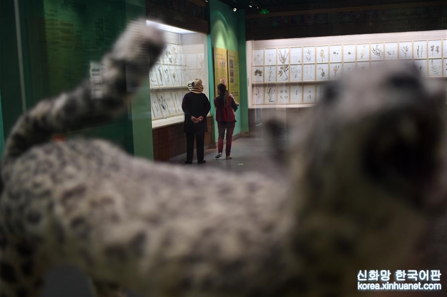 （文化）（4）探访中国藏医药文化博物馆