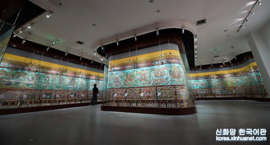 （文化）（5）探访中国藏医药文化博物馆
