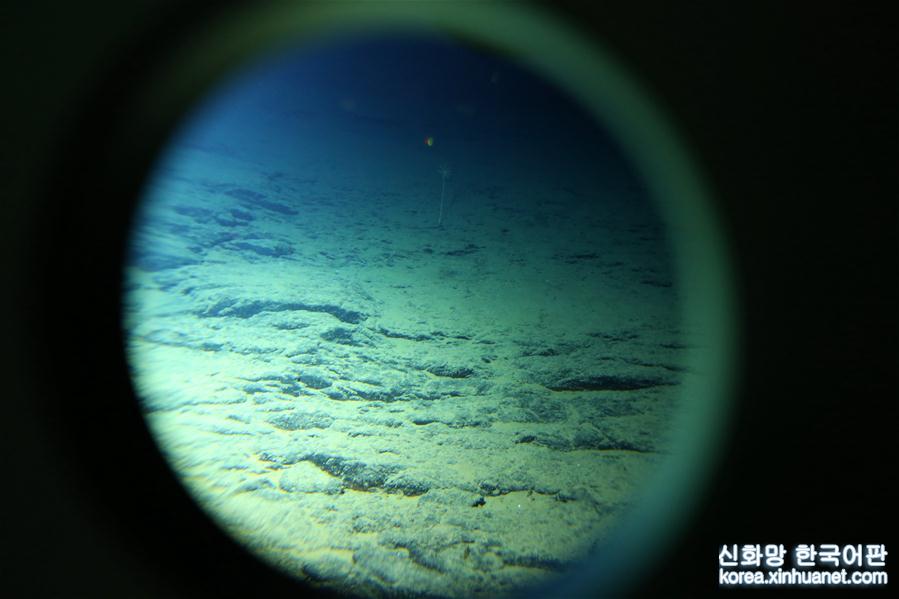 （新华全媒头条·图文互动）（3）深潜马里亚纳海沟——海底世界见闻记