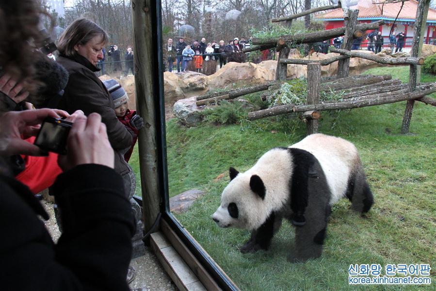 （國際·編輯連線）（3）大熊貓——中歐友誼的使者