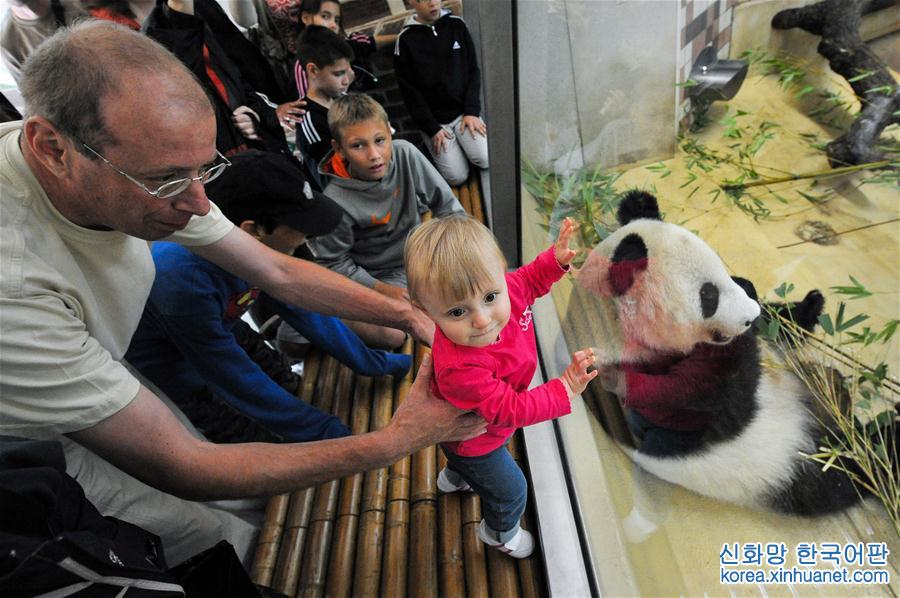 （國際·編輯連線）（4）大熊貓——中歐友誼的使者