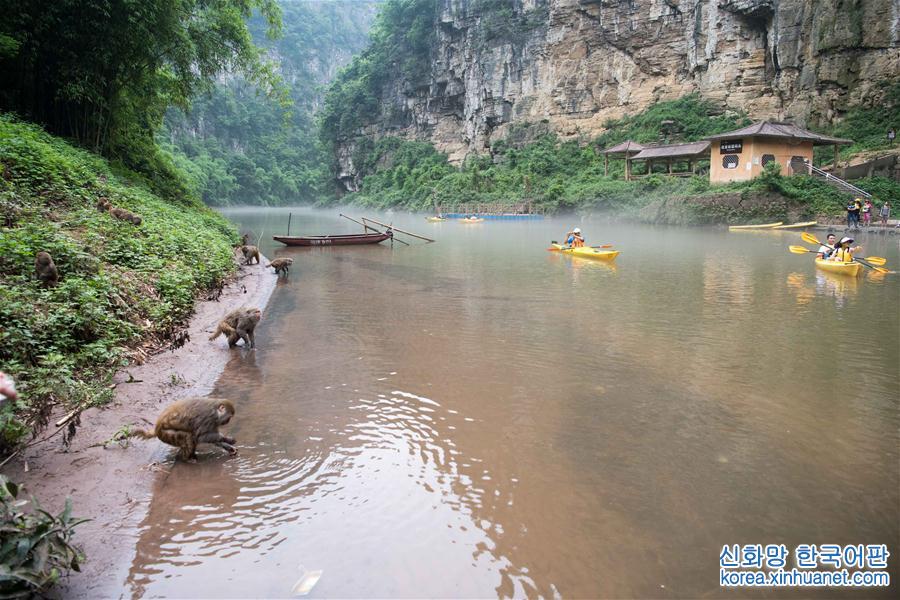 （美丽中国）（4）重庆统景：两岸“猿声”啼不住