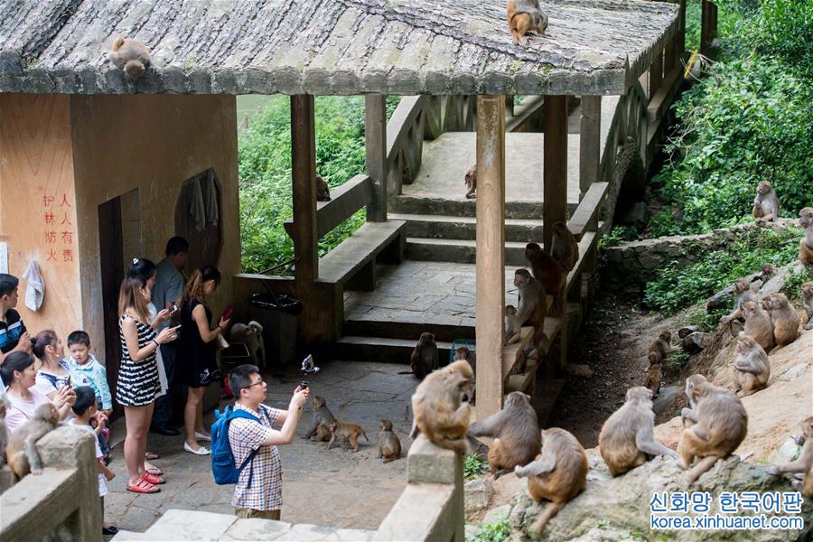 （美丽中国）（7）重庆统景：两岸“猿声”啼不住