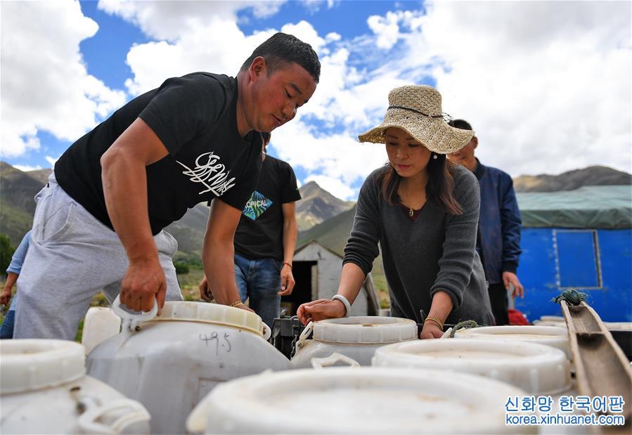 （砥礪奮進的五年）（1）西藏：蜜蜂養殖合作社帶動農牧民走上“甜蜜”致富路