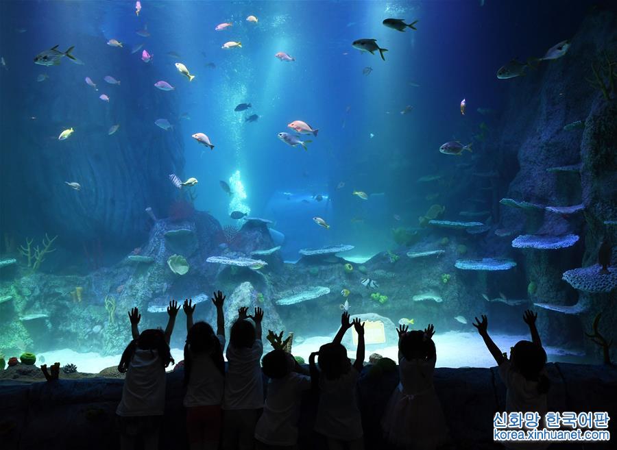 （社會）（1）重慶海洋探索中心邀請市民參觀體驗