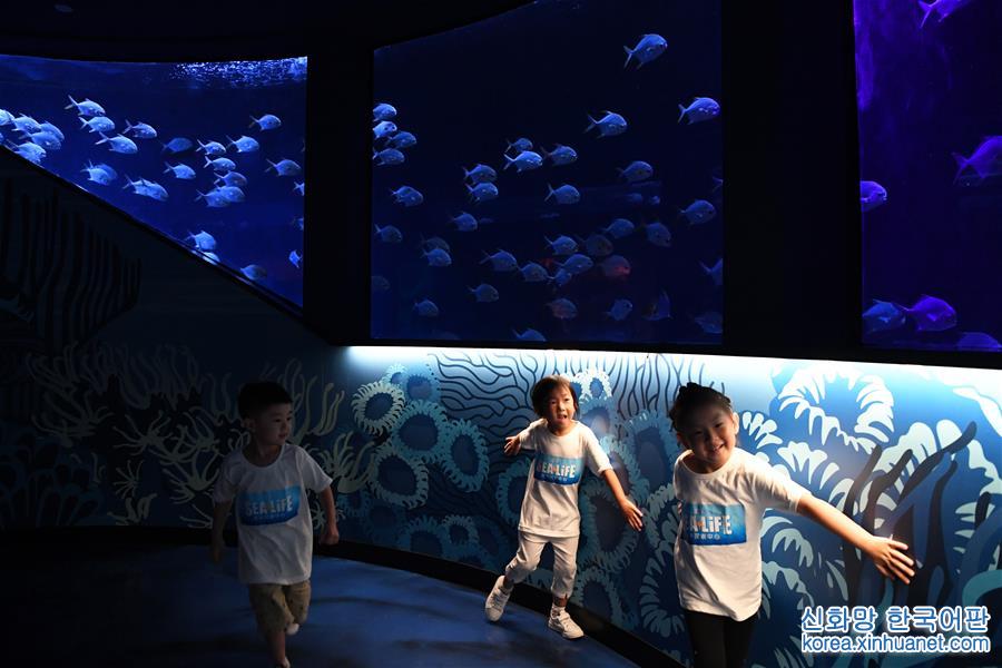 （社會）（3）重慶海洋探索中心邀請市民參觀體驗