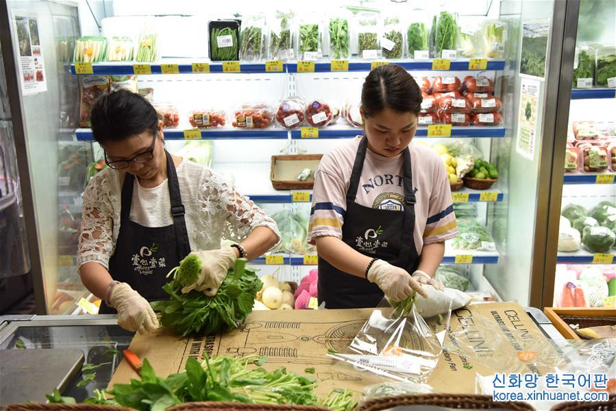（香港回归二十周年）（14）从田间到菜篮——供港蔬菜的跨境之旅