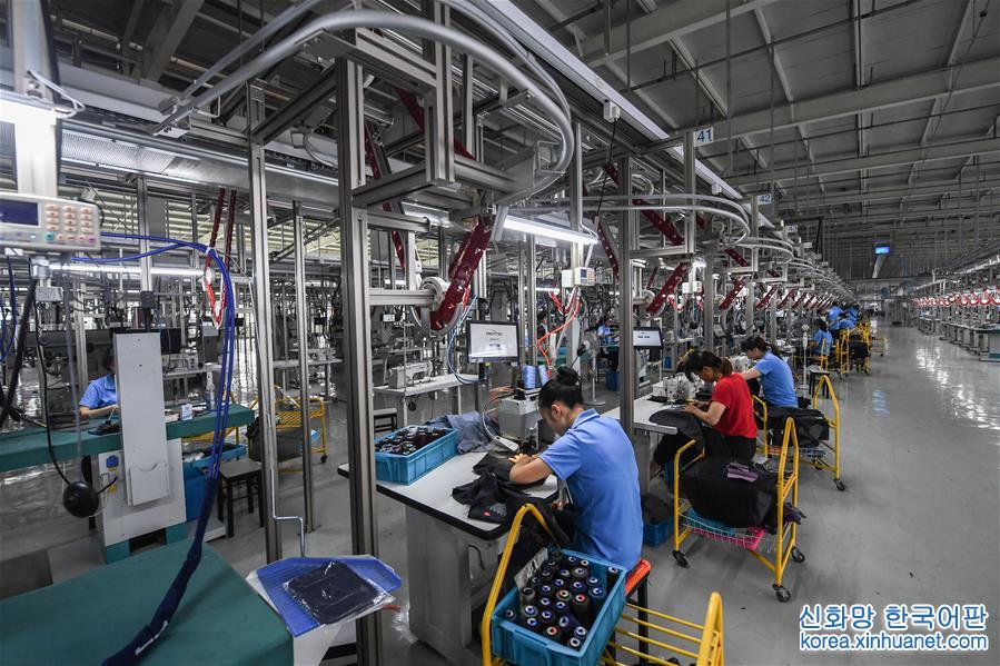 （经济）（5）浙江积极推进以“机器换人”工业技术改造